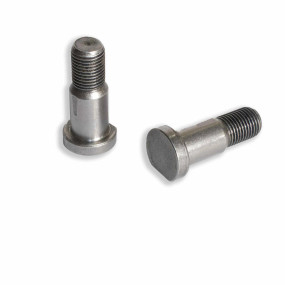 Bolzen (44012300) Case