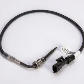 Temperaturgeber (47478880) Case