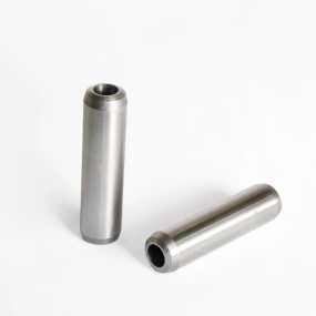 Ventilführung (4802127) Case