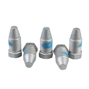 Schraube (4968813) Case