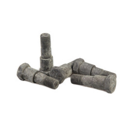 Bolzen (5086610) Case