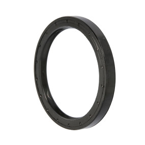 Dichtung (5165505) Case