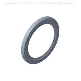 Dichtung (5198541) Case