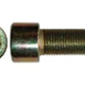 Innensechskantschrau (864-10025) Case