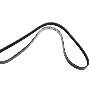 Riemen (87710660) Case