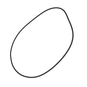 O-Ring (9823349) Case