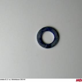 Scheibe A 21 Vz. Härteklasse 300 Hv (00370547) Horsch