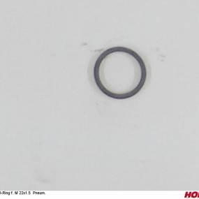 O-Ring F. M 22X1.5 Pneum. (00190095) Horsch