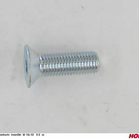 Sesmi 16 X 50 Din En Iso 10642 8.8 Vz. (00370262) Horsch