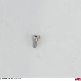 Zyl.innen6Kt. M 8 X 16 A2-70 (00370659) Horsch