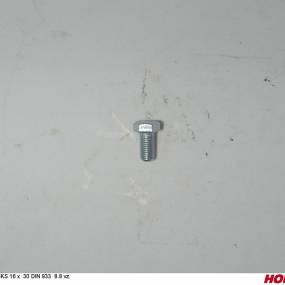 Sks 16 X 30 Din 933 8.8 Vz. (00360148) Horsch