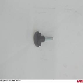 Sterngriff M. Schraube M6X20 Pa (29210204) Horsch