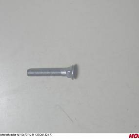 Scharschraube M 12X70-12.9 Geom 321 A (00310074) Horsch