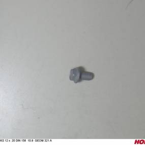 Sks 12 X 20 Bö.n.158 10.9 Zinklamelle (00360414) Horsch