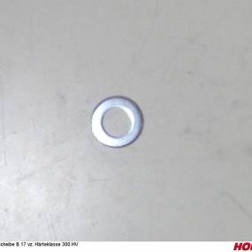 Scheibe A 17 Vz. Härteklasse 300 Hv (00370567) Horsch