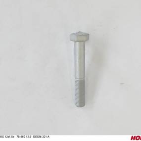 Sks 12X1,50 X 75 Din 960 12.9 Geom321A (00360264) Horsch