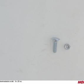 Flachrundschr.m.4Kt. 6 X 25 8.8 Vz. (00370051) Horsch