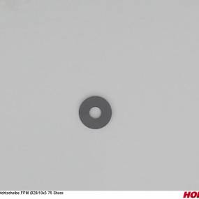 Dichtscheibe Ø28-10X3 (04005640) Horsch