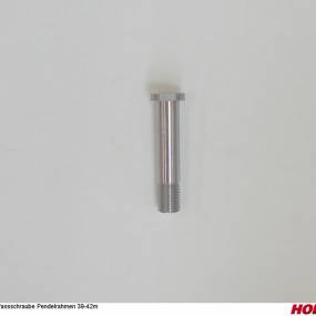 Passschraube Pendelrahmen 39-42M (30020868) Horsch