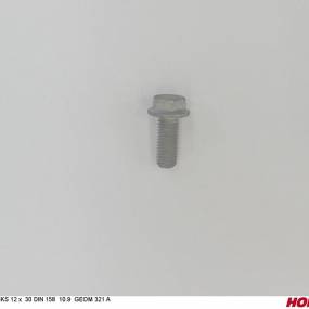 Sks 12 X 30 Bö.n.158 10.9 Zinklamelle (00360759) Horsch