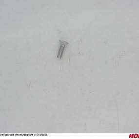 Sesmi 8 X 25 Din En Iso 10642 A2-70 (00370786) Horsch