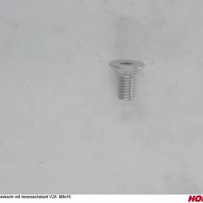 Senkschr mit Innensechskant V2A M8X16 (00370795) Horsch