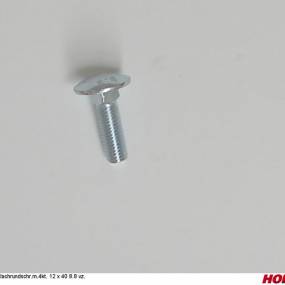 Flachrundschr.m.4Kt. 12 X 40 8.8 Vz. (00370302) Horsch