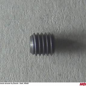 Drosselschraube Ssm Ssm8804Br M8X8 Ø 0,4 (04002552) Horsch